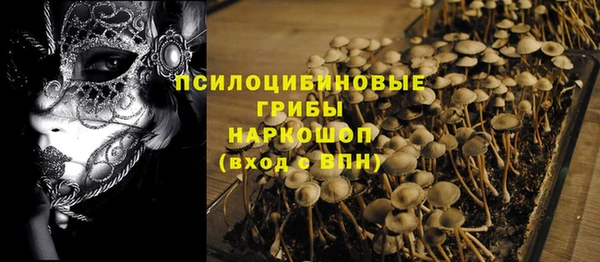 прущий лед Михайловка