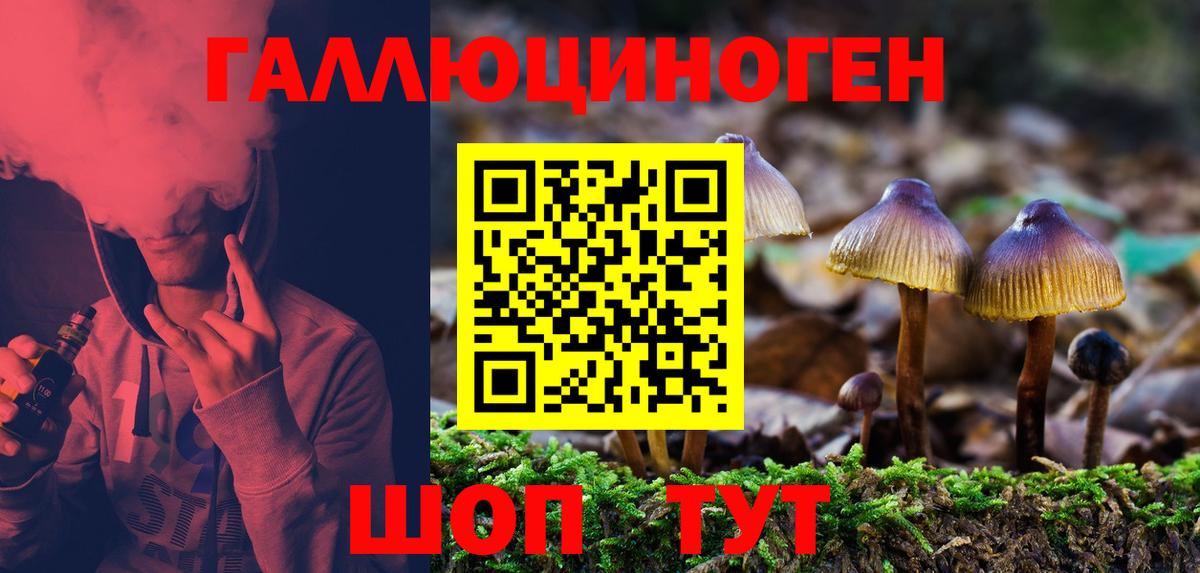 Галлюциногенные грибы MAGIC MUSHROOMS  Обнинск 