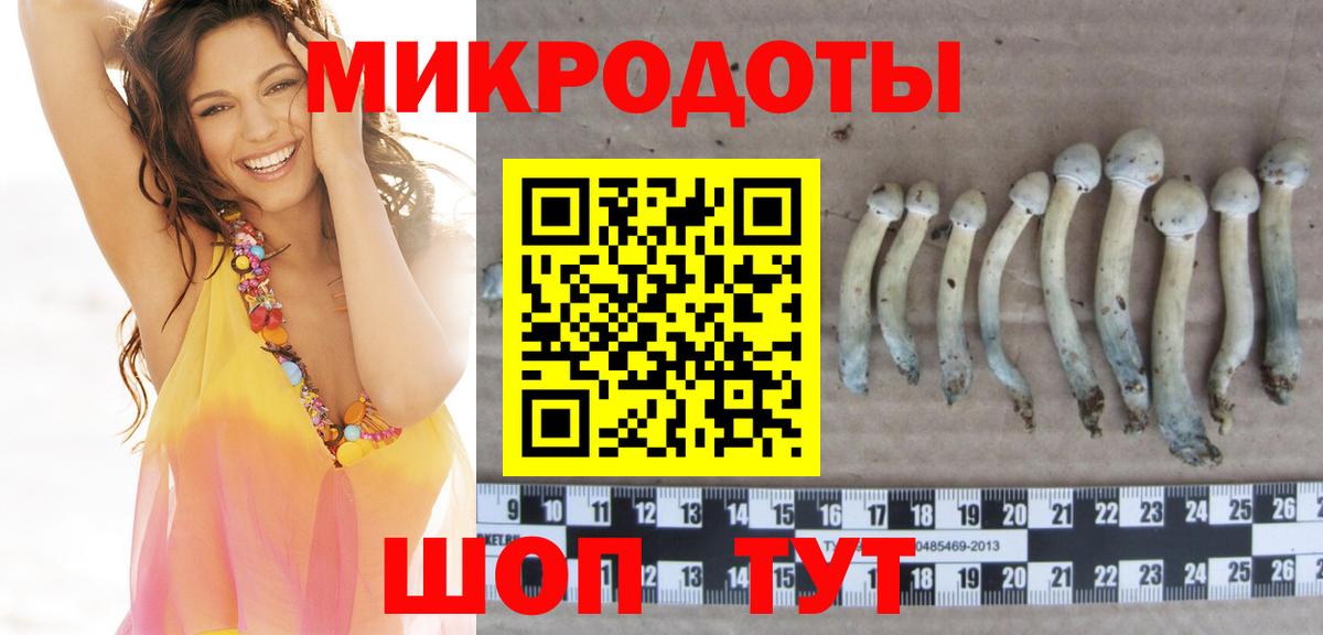 Галлюциногенные грибы Psilocybine cubensis Обнинск